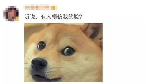 微信吃瓜表情包图片高清,趣味横生的视觉盛宴