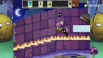 吃瓜娱乐大世界,吃瓜娱乐大世界全解析